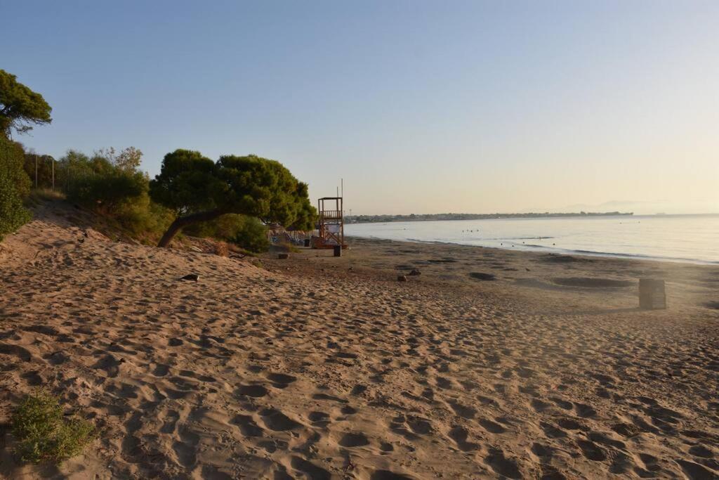 Seashell Apartment -Near The Beach อาร์เตมีดา ภายนอก รูปภาพ