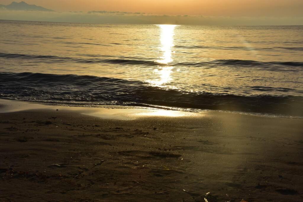Seashell Apartment -Near The Beach อาร์เตมีดา ภายนอก รูปภาพ